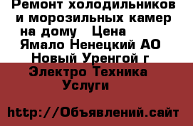 Ремонт холодильников и морозильных камер на дому › Цена ­ 500 - Ямало-Ненецкий АО, Новый Уренгой г. Электро-Техника » Услуги   